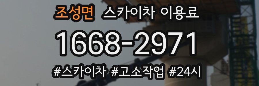 조성면 스카이차 이용료