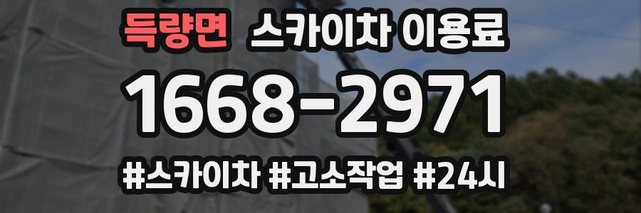 득량면 스카이차 이용료