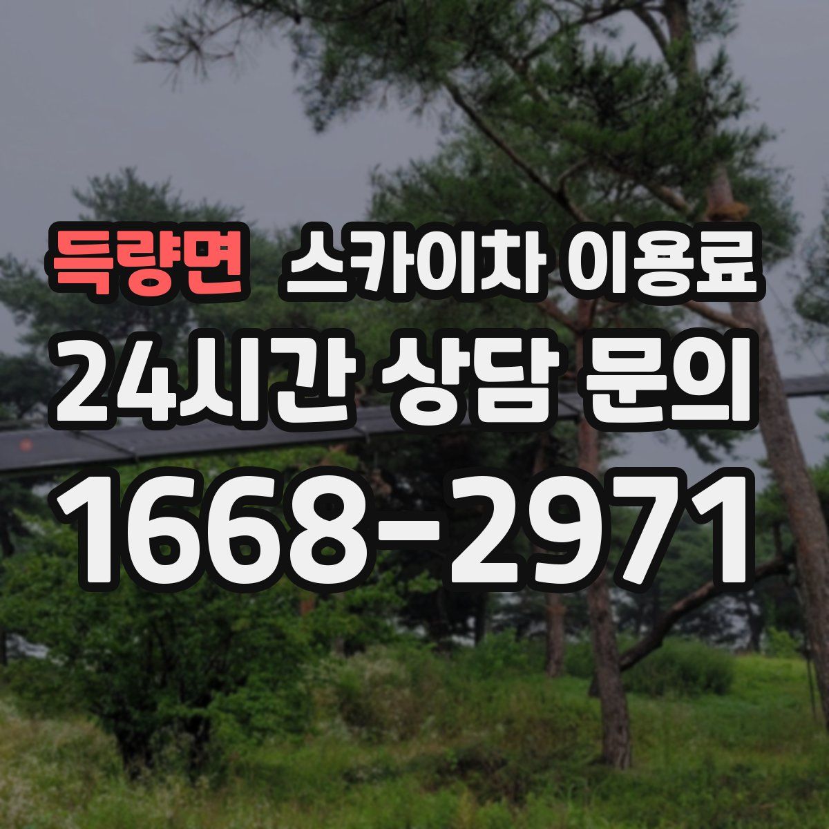 득량면 스카이차 이용료