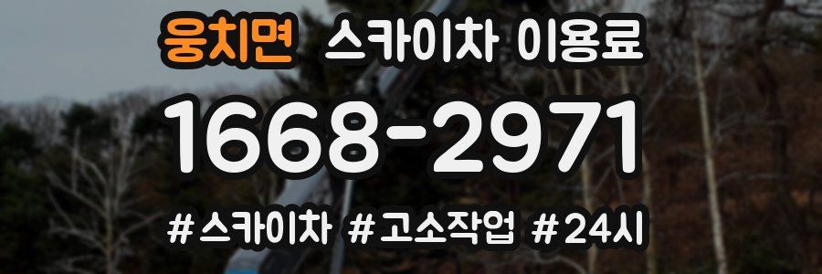 웅치면 스카이차 이용료