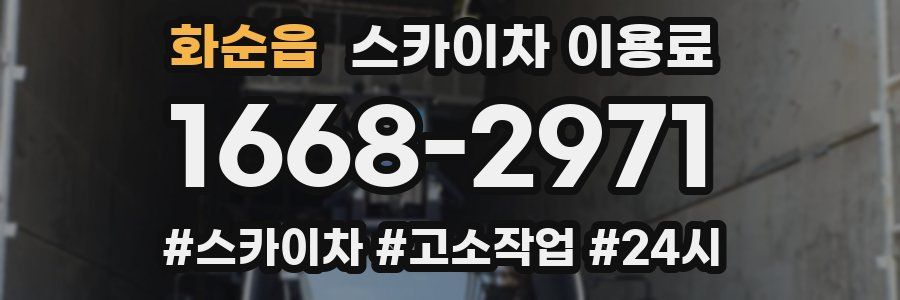 화순읍 스카이차 이용료