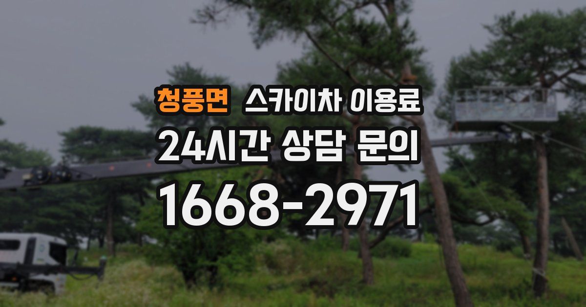 청풍면 스카이차 이용료