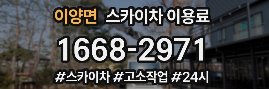 이양면 스카이차 이용료