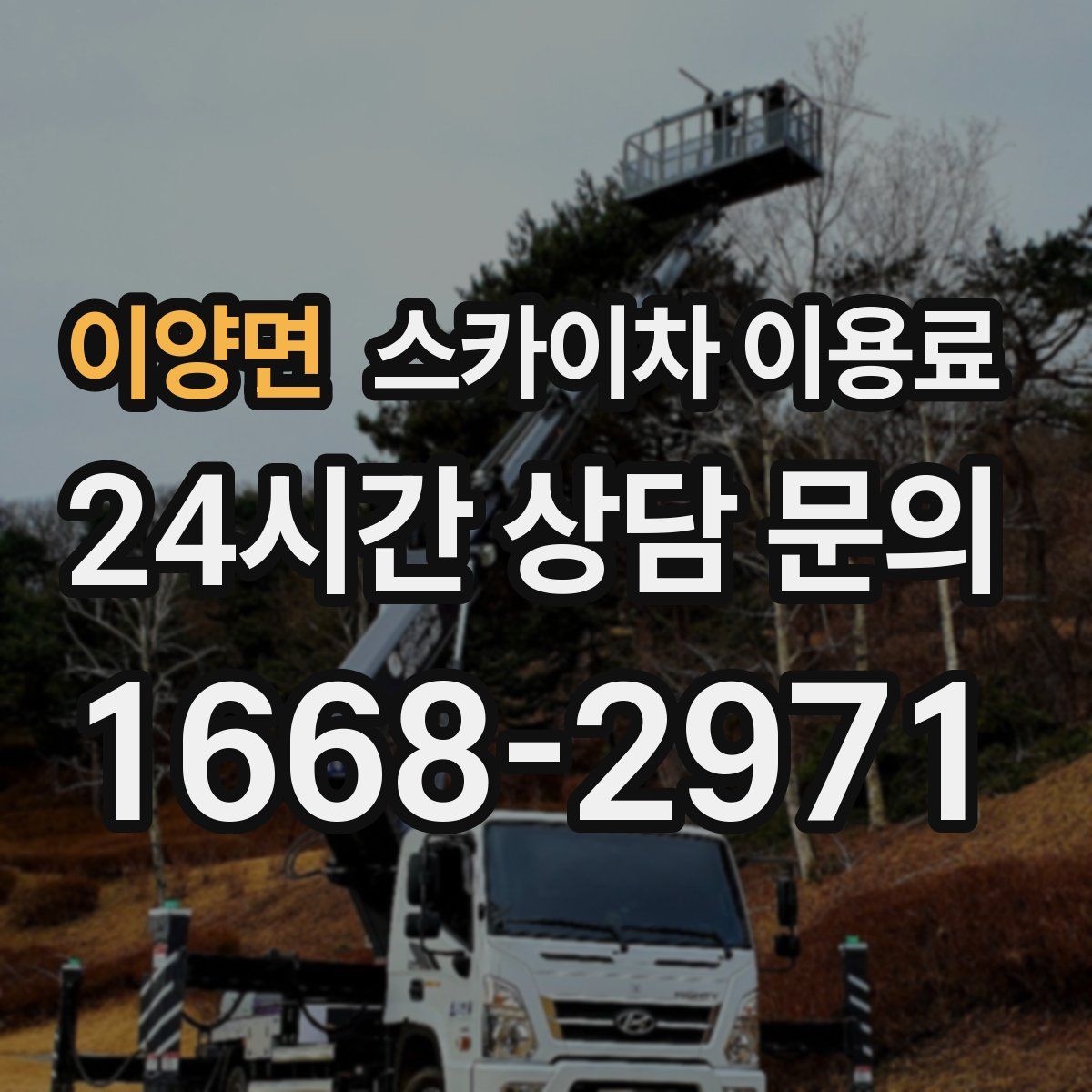 이양면 스카이차 이용료
