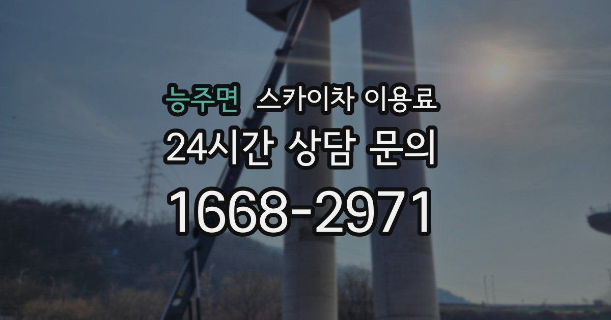 능주면 스카이차 이용료
