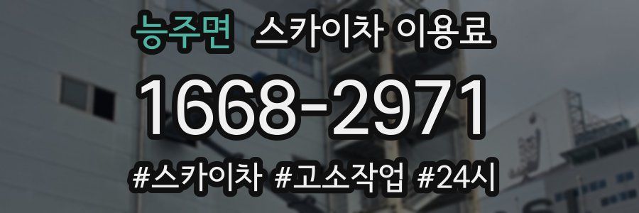 능주면 스카이차 이용료