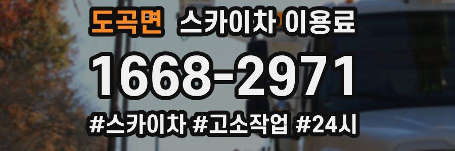 도곡면 스카이차 이용료
