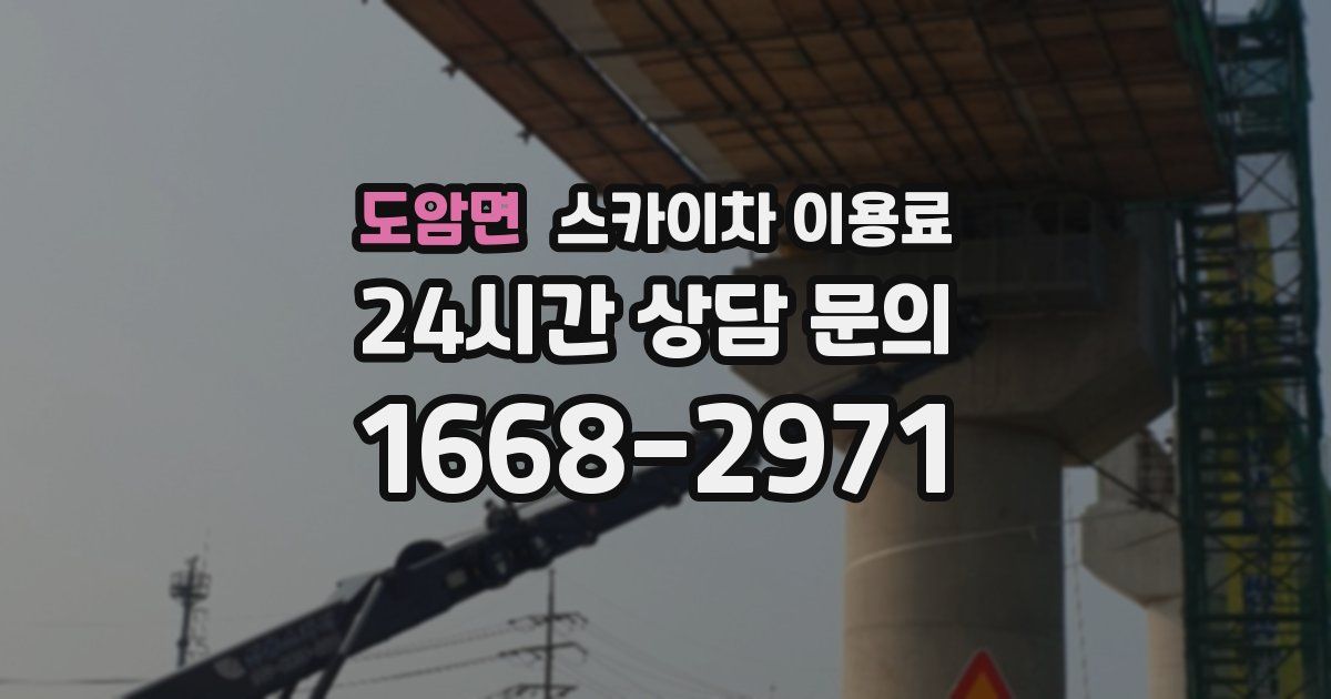 도암면 스카이차 이용료
