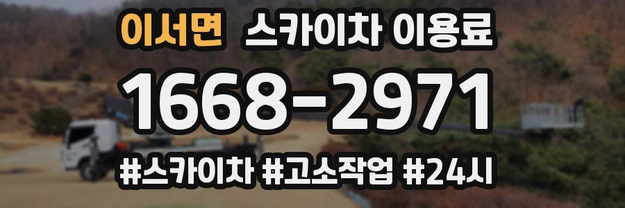 이서면 스카이차 이용료