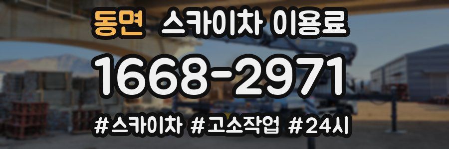 동면 스카이차 이용료
