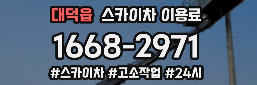 대덕읍 스카이차 이용료