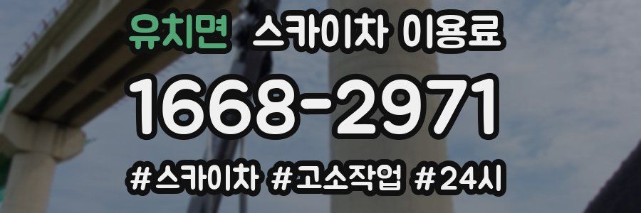 유치면 스카이차 이용료