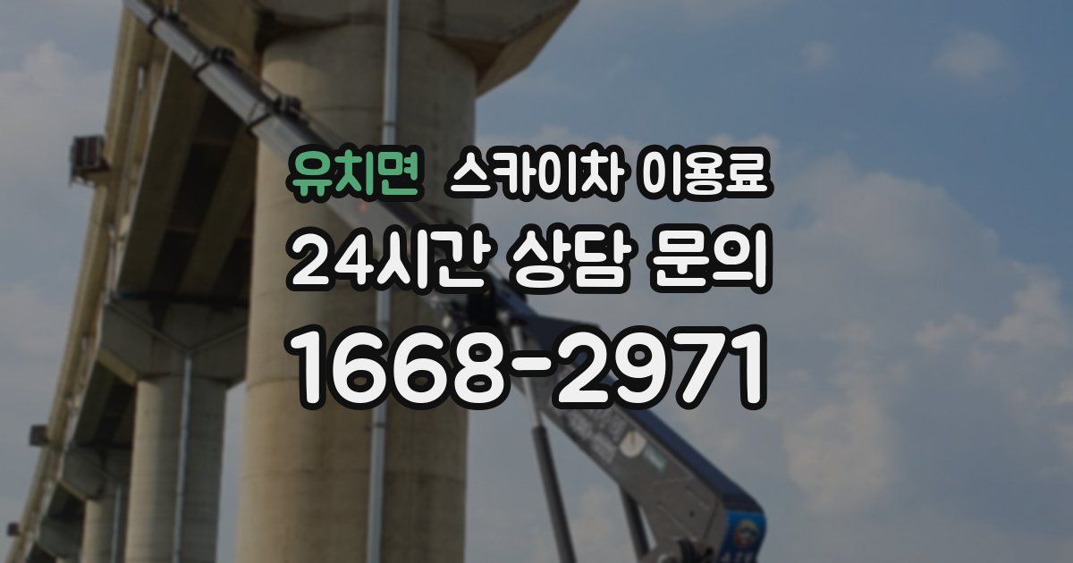 유치면 스카이차 이용료