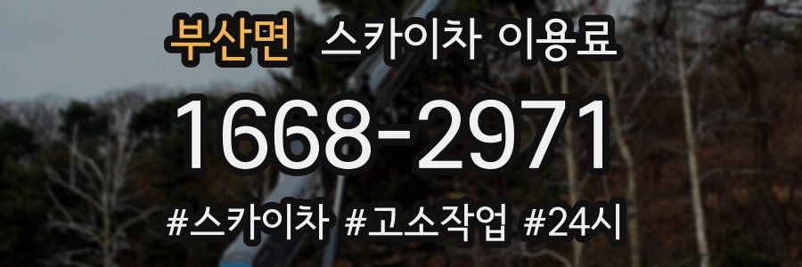 부산면 스카이차 이용료