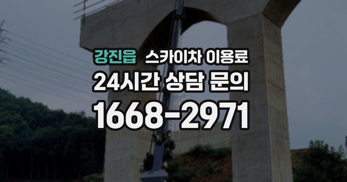 강진읍 스카이차 이용료