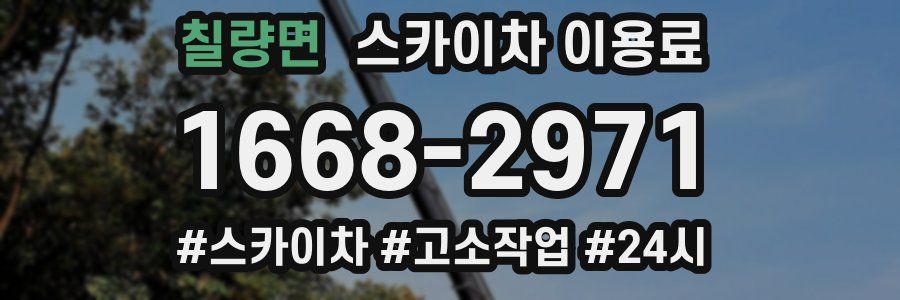 칠량면 스카이차 이용료