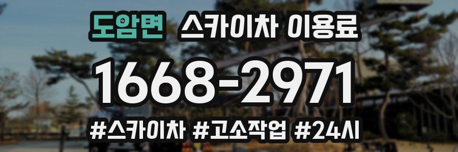 도암면 스카이차 이용료