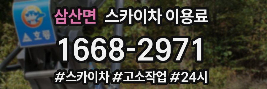 삼산면 스카이차 이용료