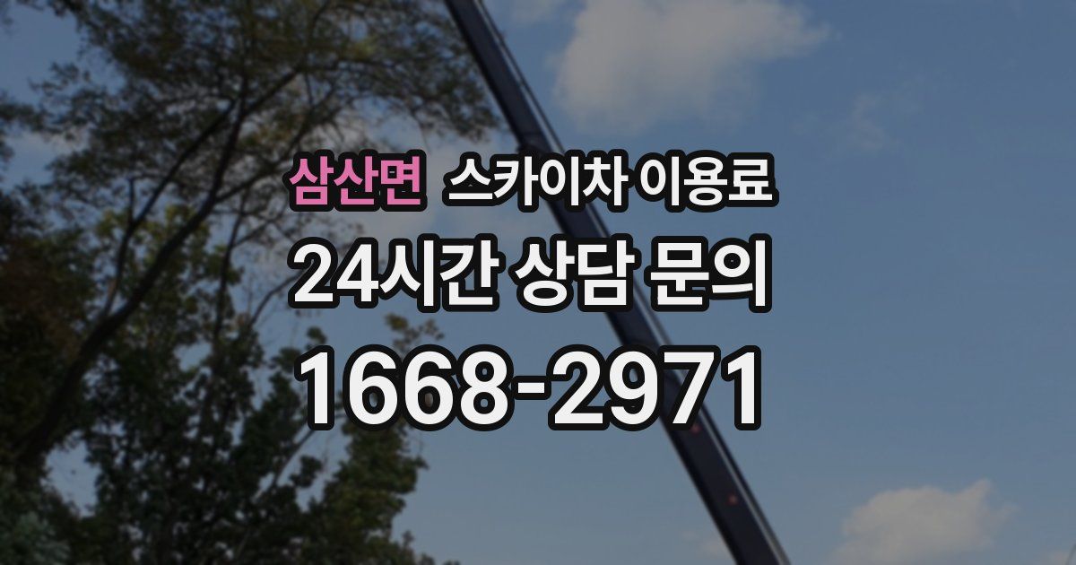 삼산면 스카이차 이용료
