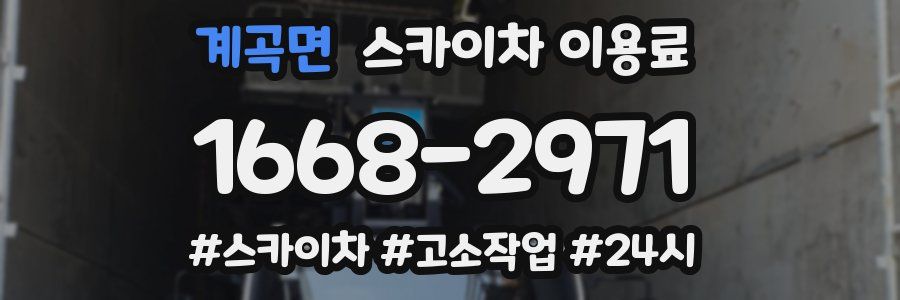 계곡면 스카이차 이용료