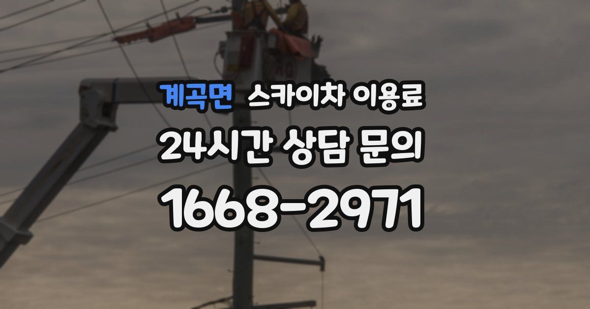 계곡면 스카이차 이용료