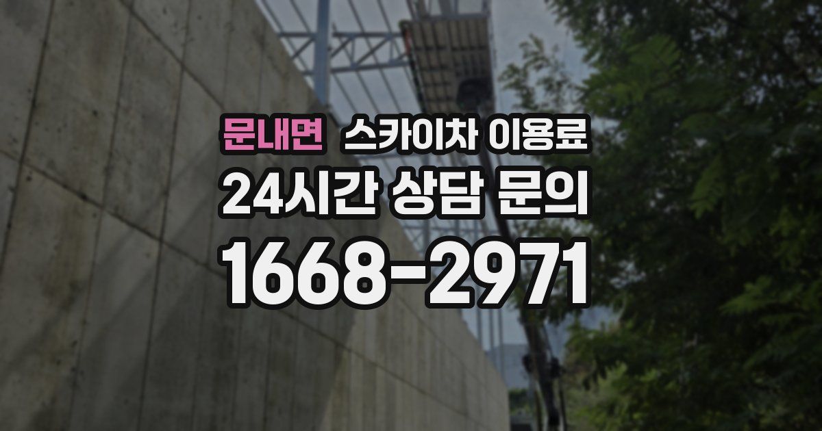 문내면 스카이차 이용료