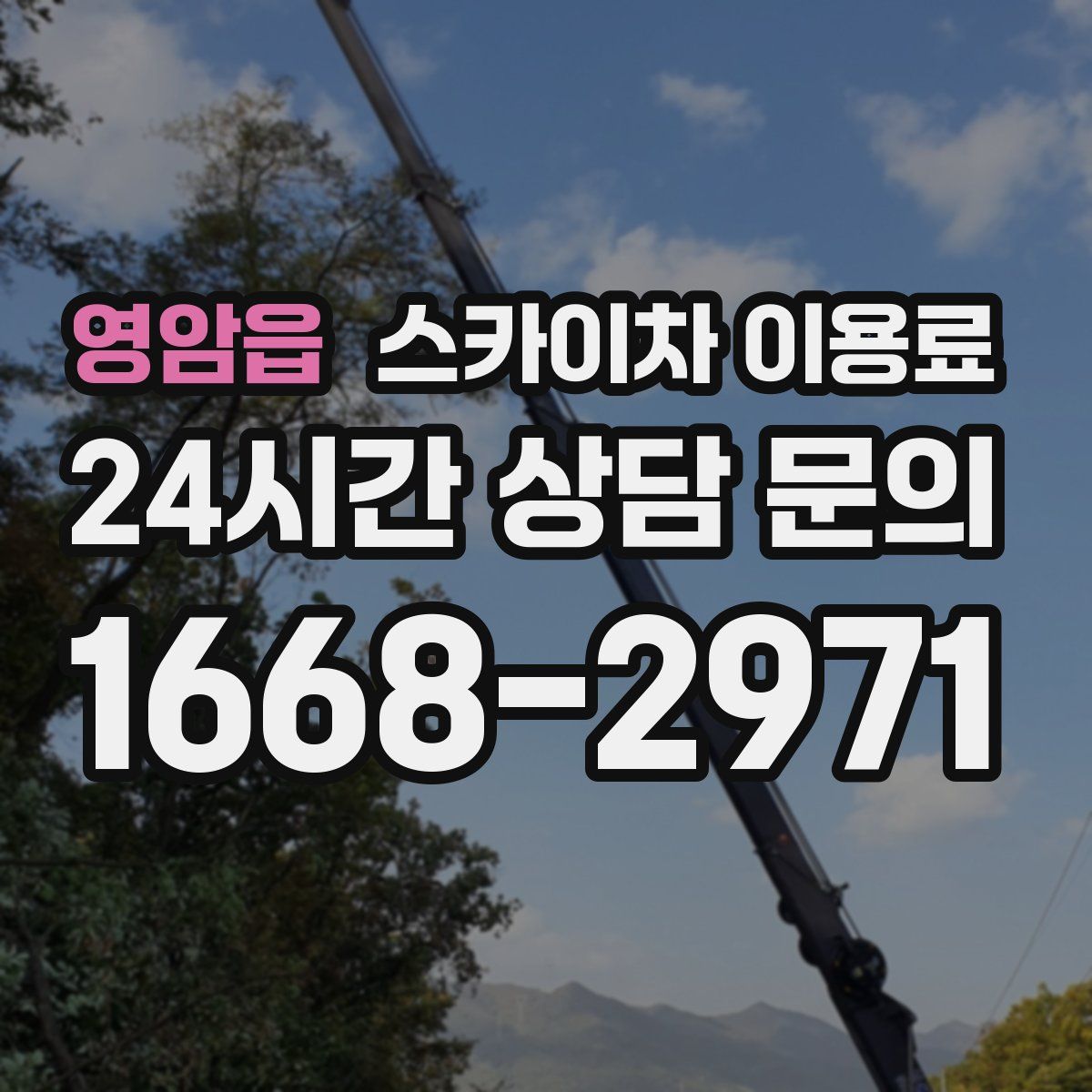 영암읍 스카이차 이용료