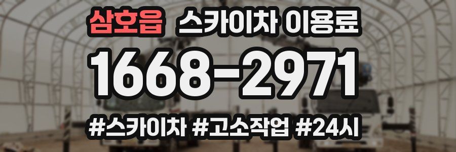 삼호읍 스카이차 이용료