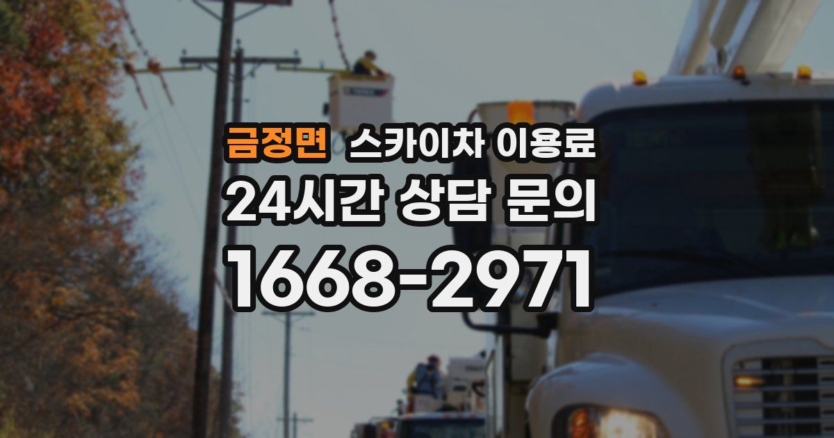 금정면 스카이차 이용료