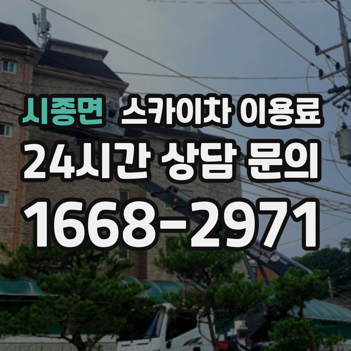 시종면 스카이차 이용료