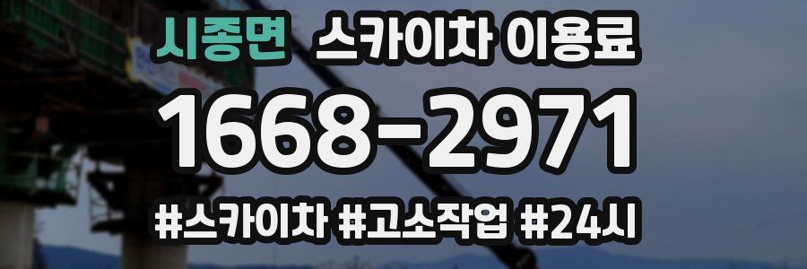 시종면 스카이차 이용료