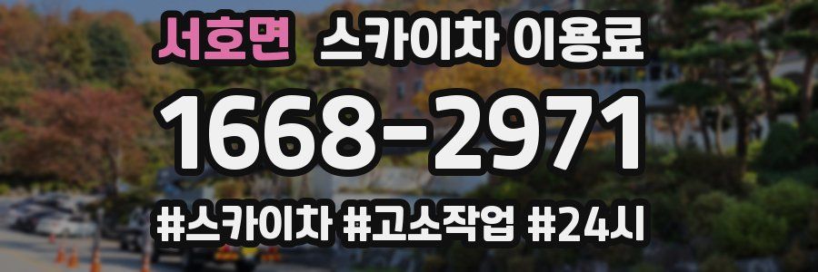 서호면 스카이차 이용료