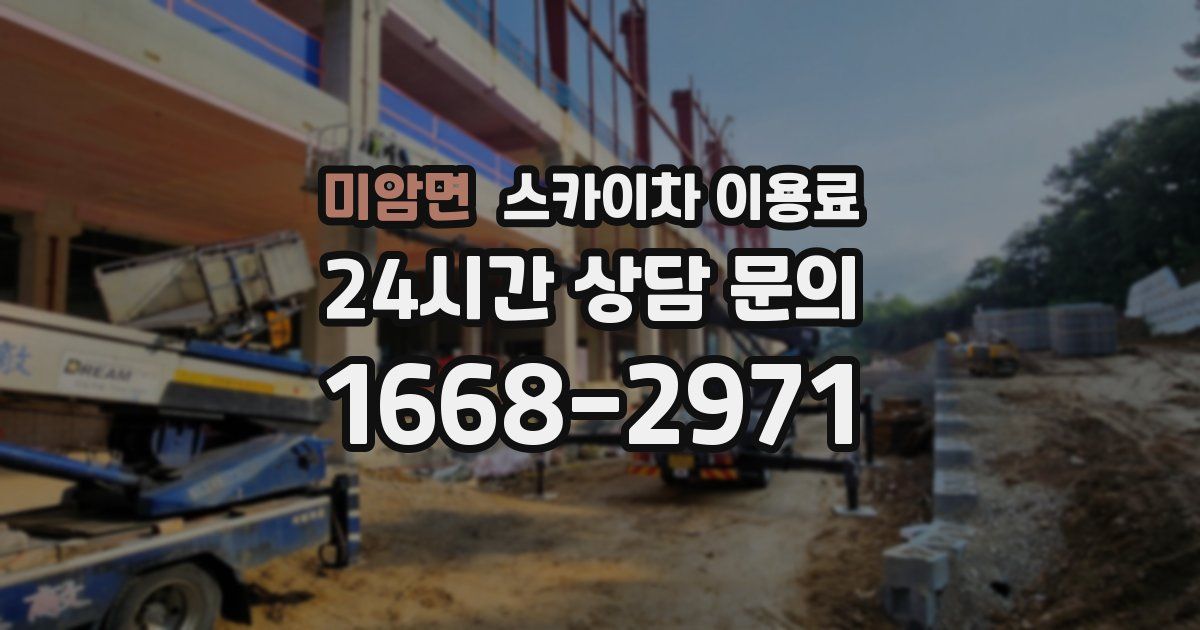 미암면 스카이차 이용료