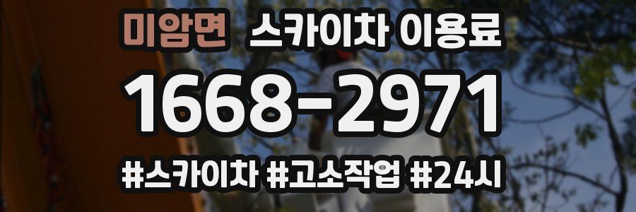 미암면 스카이차 이용료