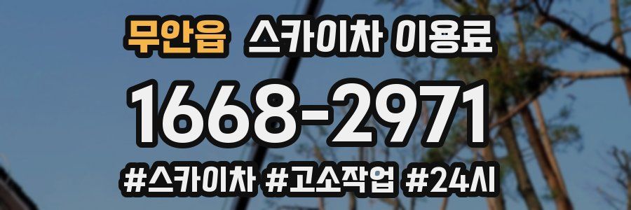 무안읍 스카이차 이용료