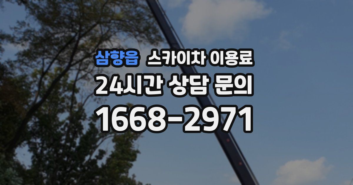 삼향읍 스카이차 이용료
