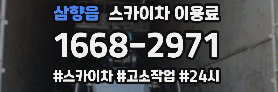 삼향읍 스카이차 이용료
