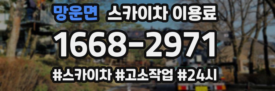 망운면 스카이차 이용료