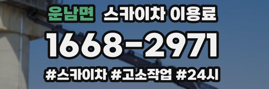 운남면 스카이차 이용료