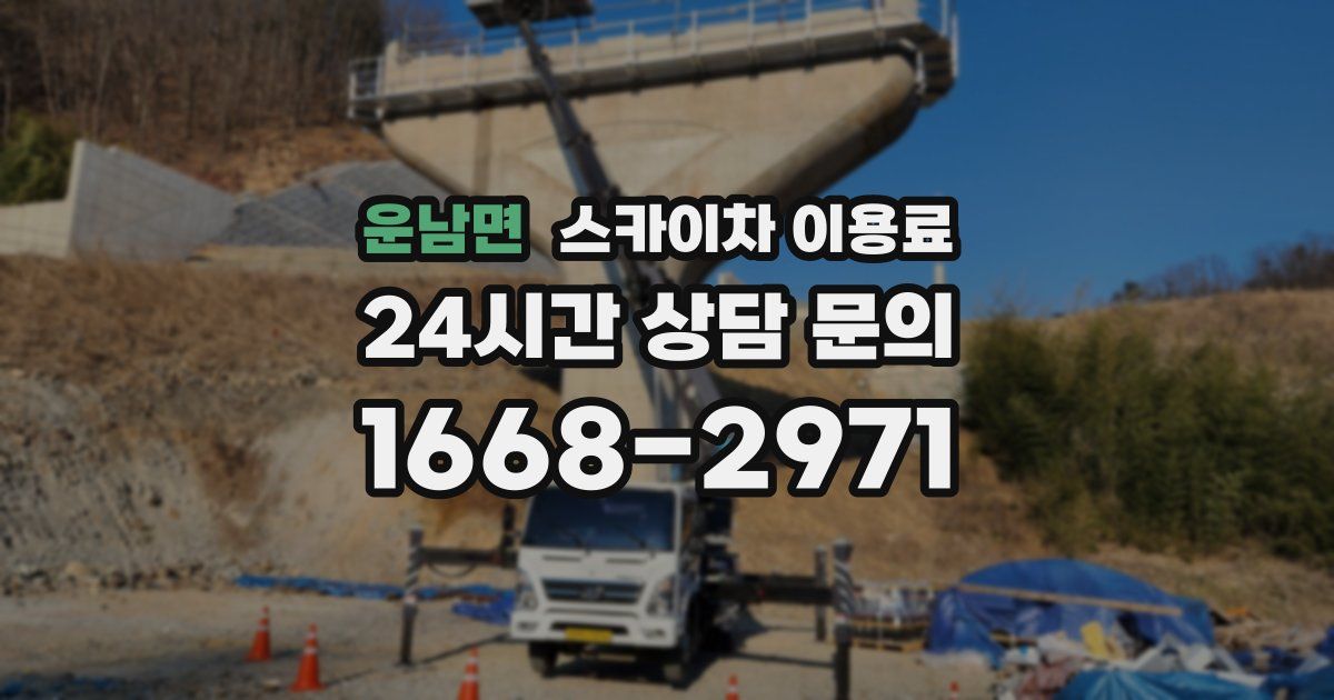 운남면 스카이차 이용료