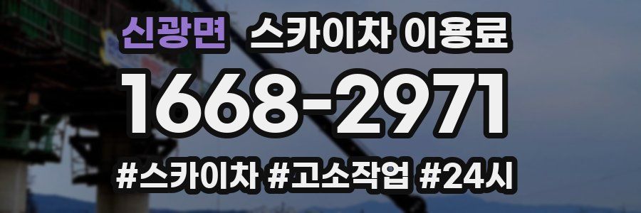신광면 스카이차 이용료