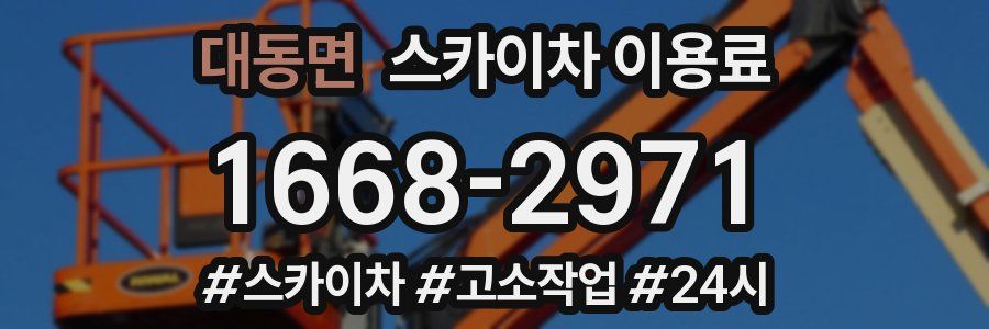 대동면 스카이차 이용료