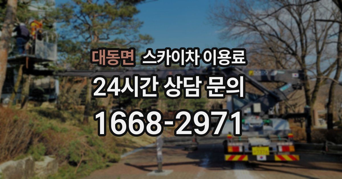 대동면 스카이차 이용료