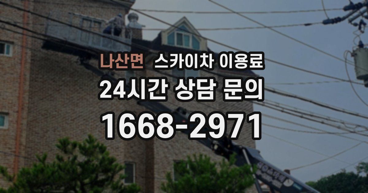 나산면 스카이차 이용료