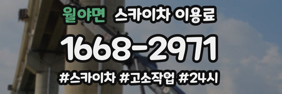 월야면 스카이차 이용료