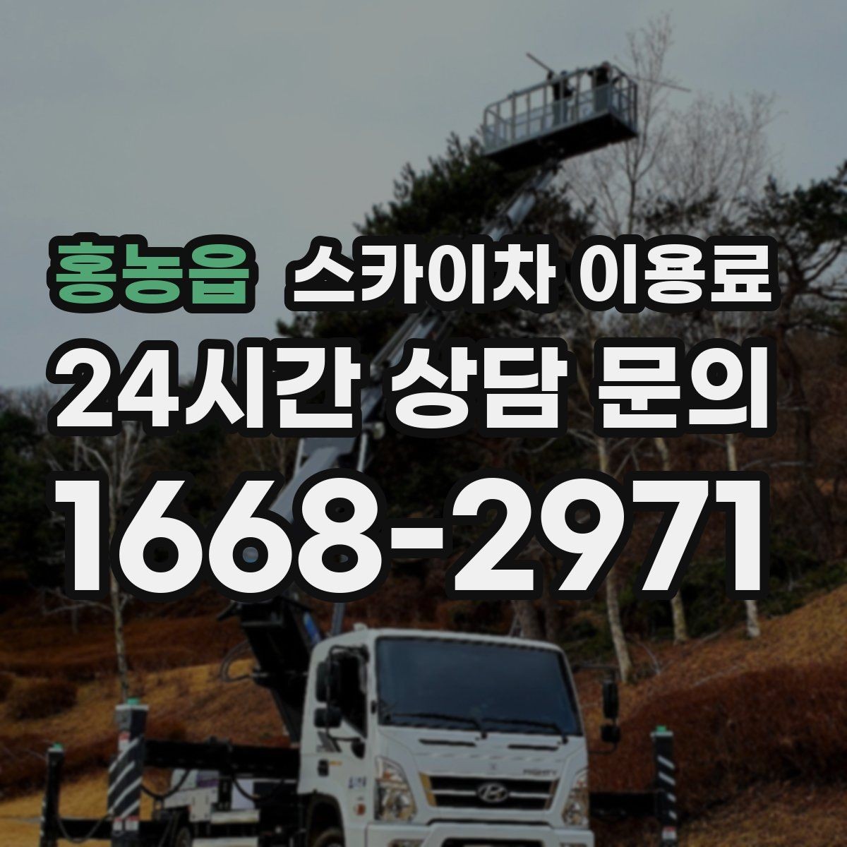 홍농읍 스카이차 이용료 확인 후 결정할 때 유의점
