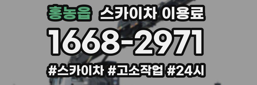 홍농읍 스카이차 이용료