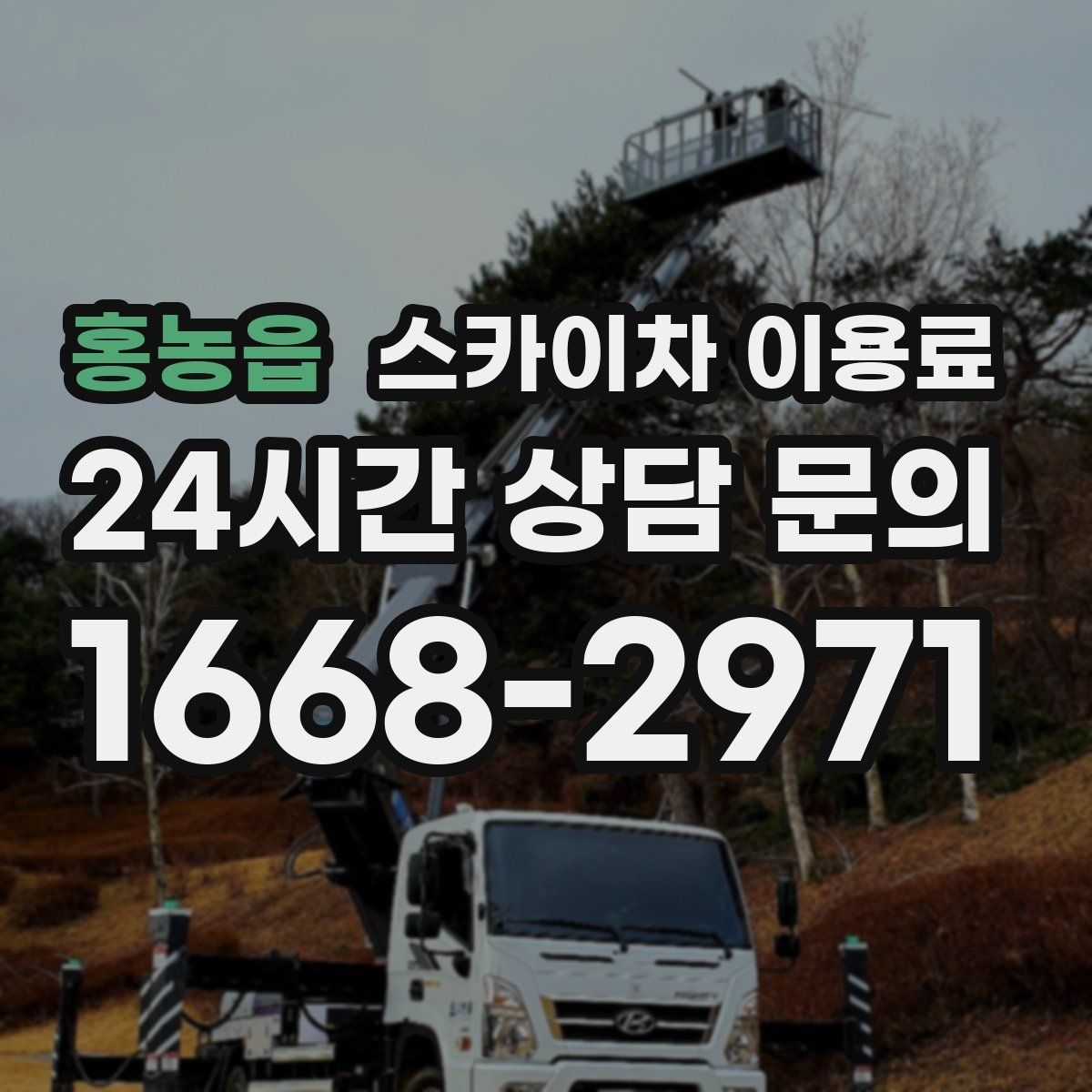 홍농읍 스카이차 이용료