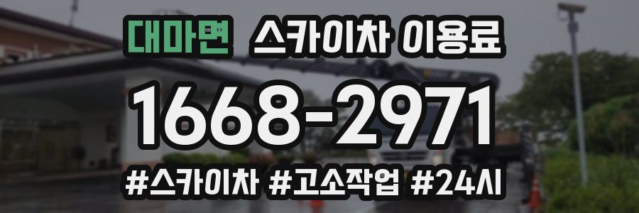 대마면 스카이차 이용료