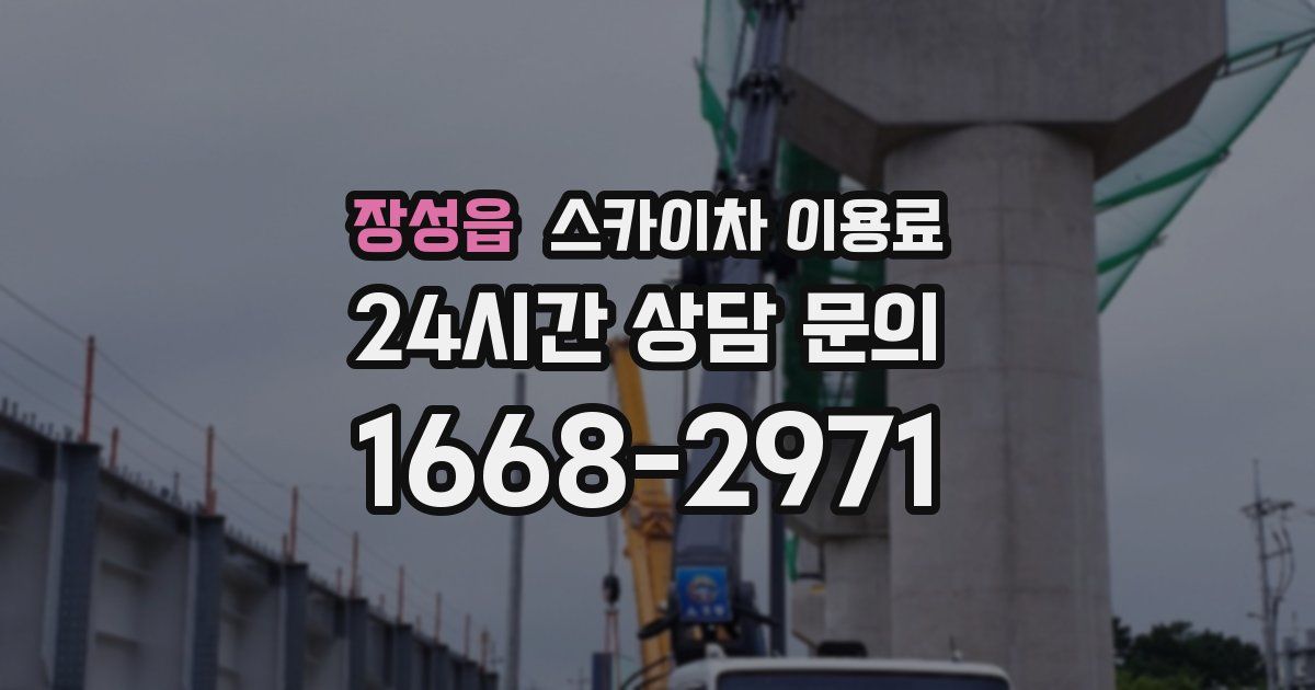 장성읍 스카이차 이용료